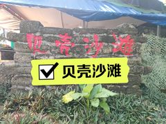 -贝壳沙滩