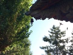 -张掖大佛寺景区