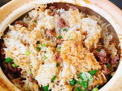 -百利鸽王(紫薇路店)