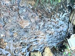 -秦岭终南山世界地质公园翠华山景区
