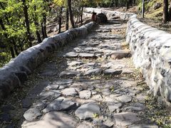 -阳台山自然风景区