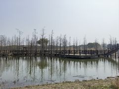 -同里国家湿地公园