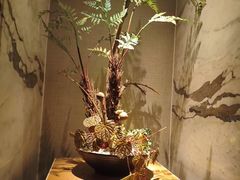 -浅深(北京北四环精品店)