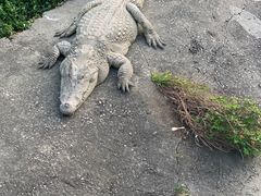 -广州长隆飞鸟乐园