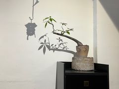 -成川茶店·潮汕工夫浓茶(万象店)