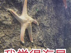 -太平洋海底世界