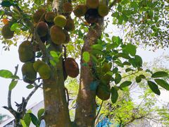 -红色娘子军纪念园