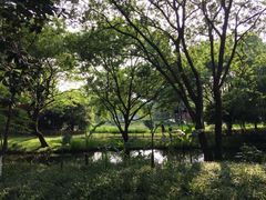 -茅家埠