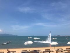-Coco Tam’s
