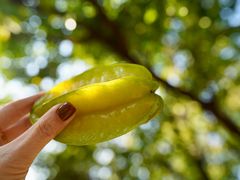 -新塘水果乐园(东洲大道店)