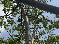 -乌素图国家森林公园