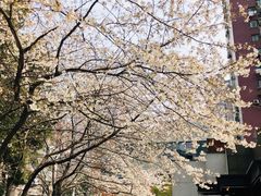 -玛格萝妮比萨屋(四平店)