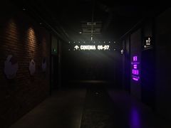 -CGV影城(东方广场4DX店)