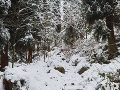 -九峰山