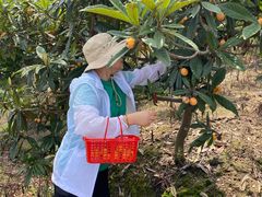 -塘栖枇杷特色园区