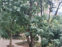 -国民政府外交部旧址