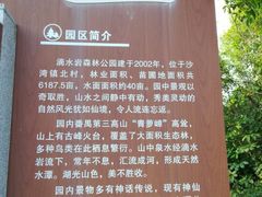 -滴水岩森林公园