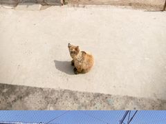-哈尔滨北方森林动物园