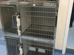 -瑞派·关忠动物医院·异宠专科·犬猫肿瘤·皮肤专科(望京店)