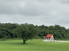 -济州森林小火车生态公园