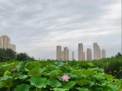 -前关湿地公园