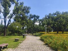 -苏州上方山国家森林公园