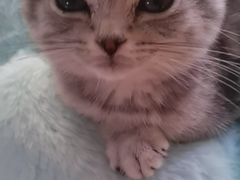 -博特宠物医院24h犬猫全科.骨科·异宠