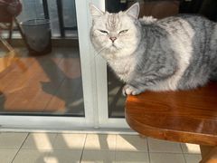 -佳雯宠物医院(金华南路分院)