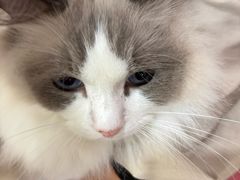 -和它·交个朋友·狗咖猫咖(爱琴海店)
