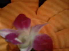 吊龙-手选潮汕鲜活牛肉火锅(二七广场店)