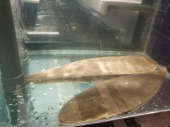 -斯通泰伯酒店-餐厅