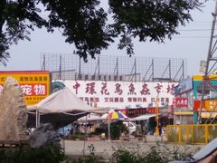 -中环花鸟鱼虫市场