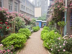 -万达广场(武汉菱角湖店)