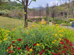 -云溪植物园
