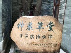 -广州神农草堂中医药博物馆