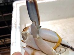 -浙C老邻舍(西城海错店)