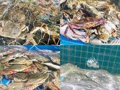 -蓝珊甄选海鲜自助·火锅大排档(近阿那亚店)