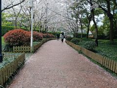 -陆家嘴中心绿地