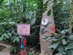 -呀路古热带植物园