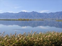 -野鸭湖国家湿地公园