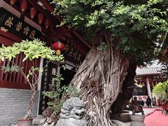 -叩齿古寺