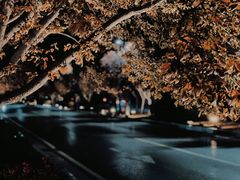 -河南省黄河迎宾馆