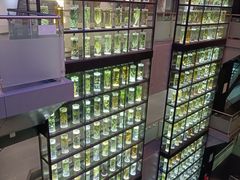 -广东中医药博物馆