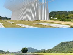 -风云岭森林公园