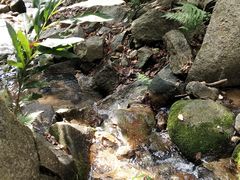 -火炉山森林公园