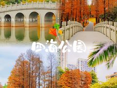 -四海公园(南山区)