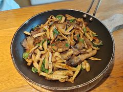 橄榄油三种菇-庆春朴门