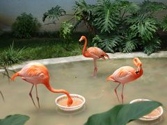 -成都动物园
