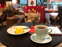 -咖法森林·咖啡  酒吧(天河店)