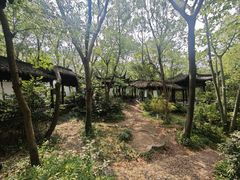 -上海佘山国家森林公园天马山园